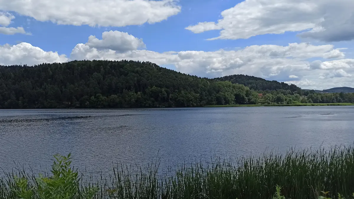 Jezioro Czchowskie